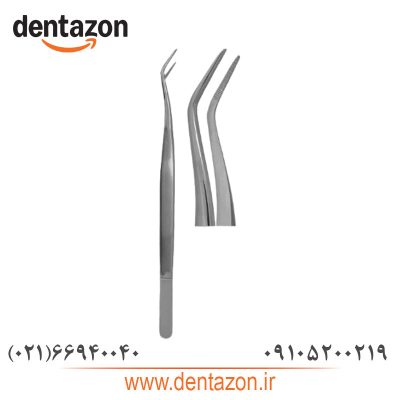 پنس بدون عاج (ظریف) کاریزما